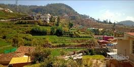 Golden Springs Hotel