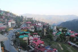 The Pine Residency Homestay